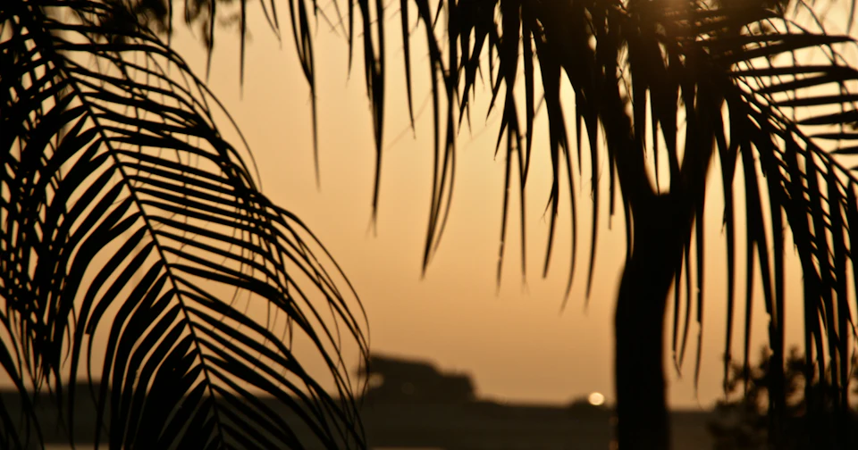 Cape Coral Web Design That Converts — Sparkler Digital