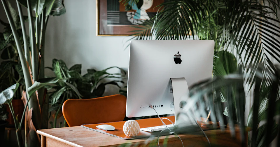 Choosing a Web Design Partner in Naples — Sparkler Digital