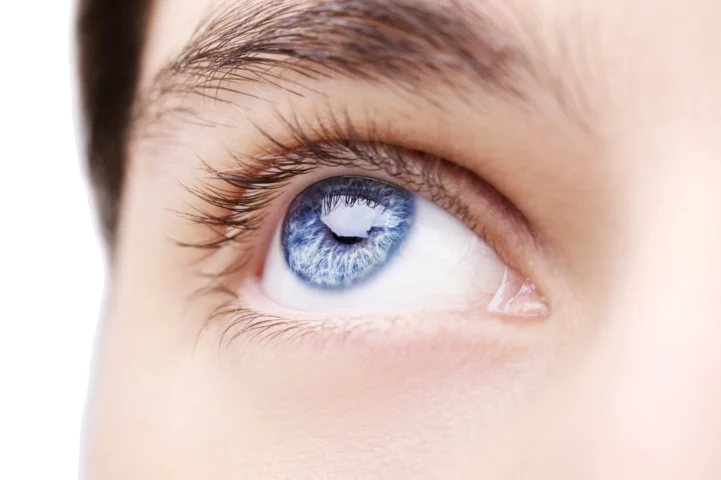 Search Engine Optimization Search Engine Optimization